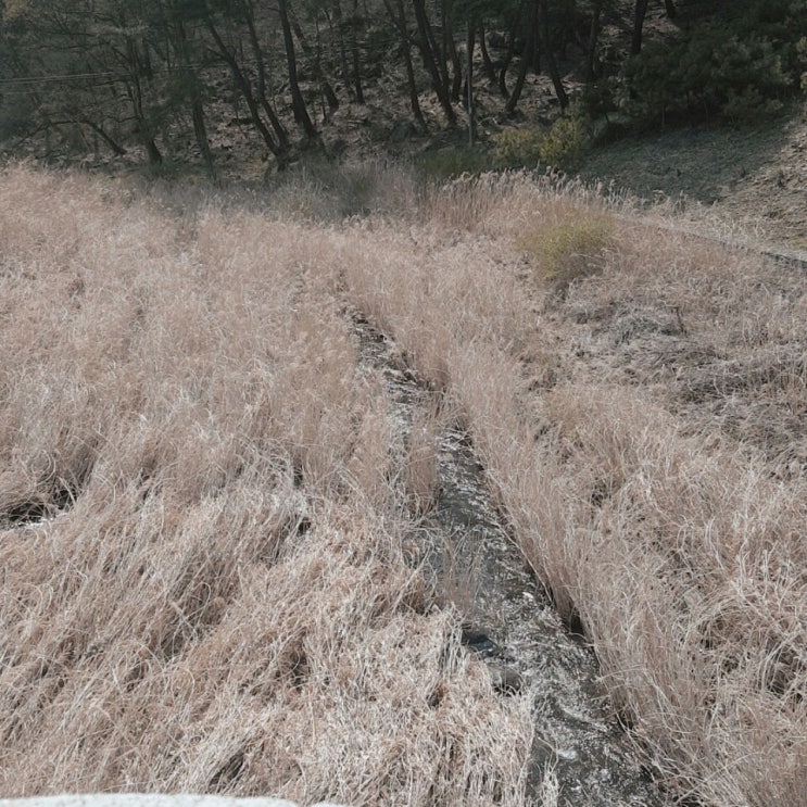  바람은 한때 지나고