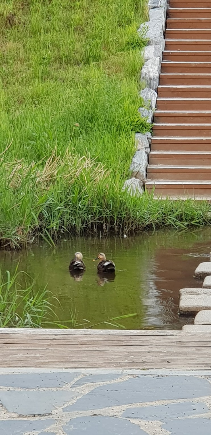  출근길
