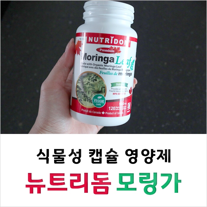  20대 영양제 추천 뉴트리돔 모링가 노화방지