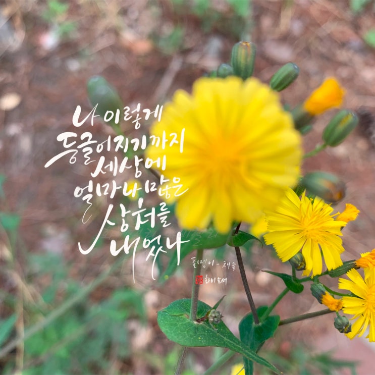  감성 손글씨 디지털 캘리그라피[채들/돌멩이]