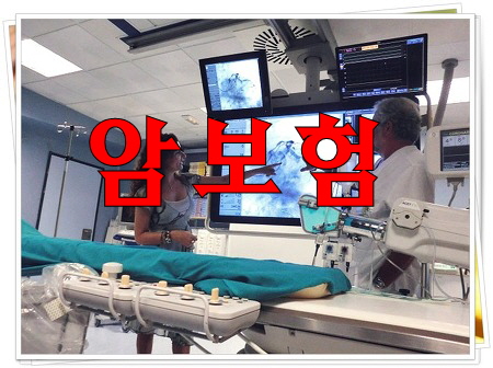  암보험료비교 1초만에