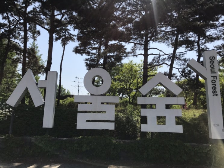  서울숲 공원에서