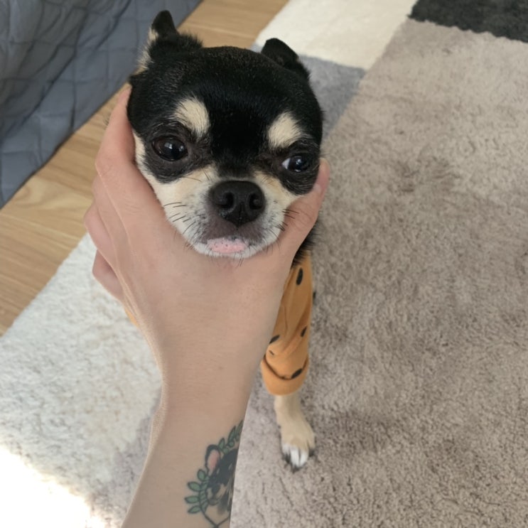  더워서 짜증이나서 참을 수 없어서