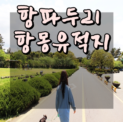  제주도 애월여행코스 항몽유적지 산책코스~!