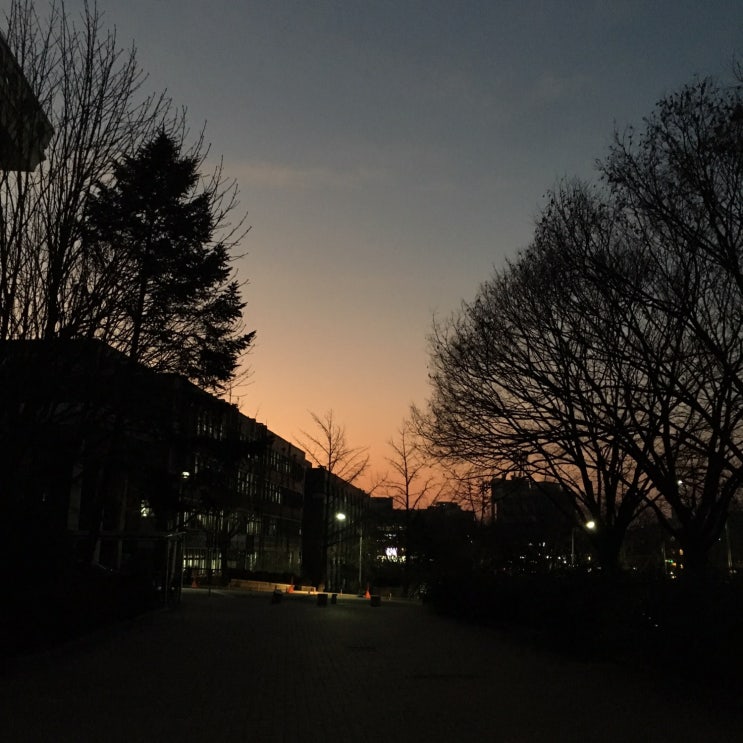  19_05_17 (까지의 일대기)