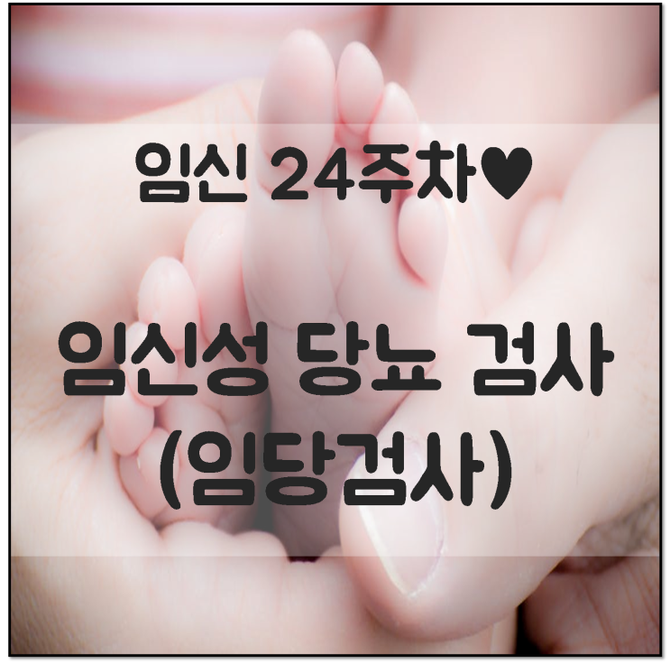 [달달하고 기분좋은 이야기] 임신 24주차 대망의 임신성 당뇨 검사(임당검사) 임신 7개월 임신 중기