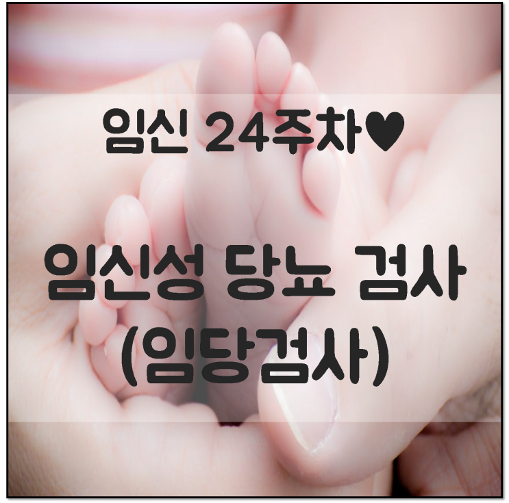  [달달하고 기분좋은 이야기] 임신 24주차 대망의 임신성 당뇨 검사(임당검사) 임신 7개월 임신 중기
