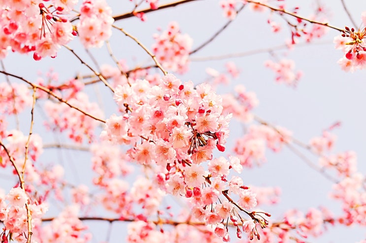  웨인 W. 다이어 박사 명언 Dr. Wayne W. Dyer
