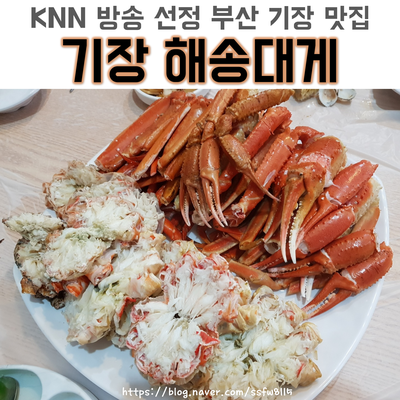  [기장 해송대게] KNN 생방송 투데이 선정 맛집 / 기장 대게, 기장 킹크랩 리뷰