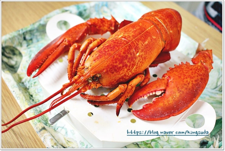  다이소찜기 찜선생 종이찜기 랍스터찜부터 만두찜까지 만능이네!