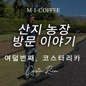  M.I.COFFEE 산지 스토리 여덟번째 [코스타리카/아시엔다 소노라]