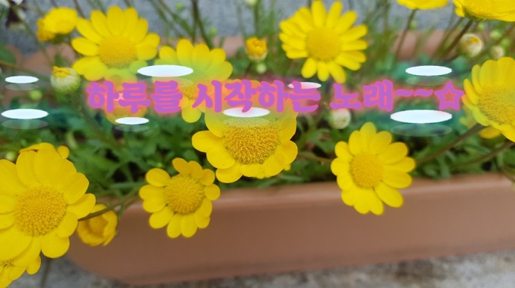  유재석 '말하는대로'