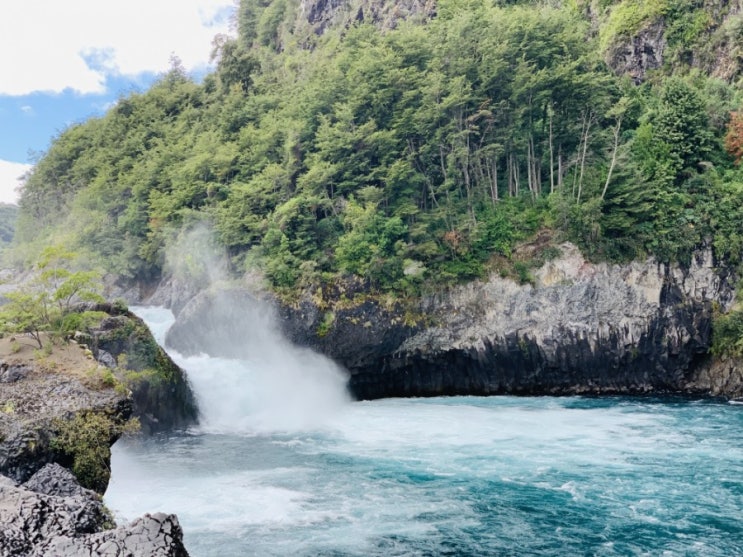  [칠레::푸에르토 바라스(Puerto Varas)] 국립공원 페트로우에 폭포,Frutillar마을(19.4.18-21)