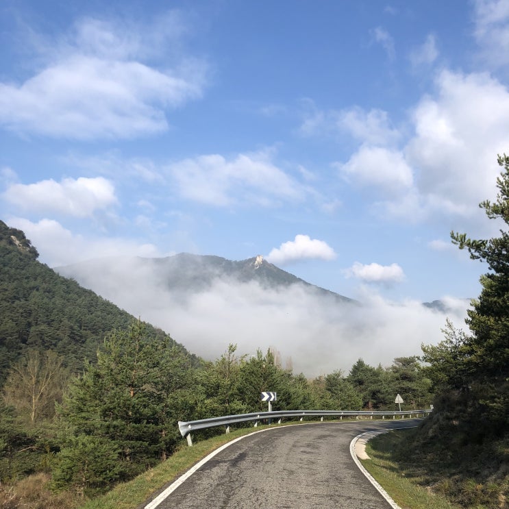  스페인 산티아고순례길(프랑스길)_까미노 day3/주비리에서 팜플로냐까지 약 20여키로!