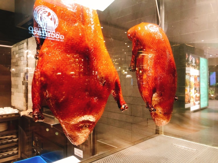  [홍콩북경오리,침사추이북경오리] 홍콩 침사추이 맛집 K11 로스티드덕 북경오리, 홍콩심포니오브라이트공연 ️