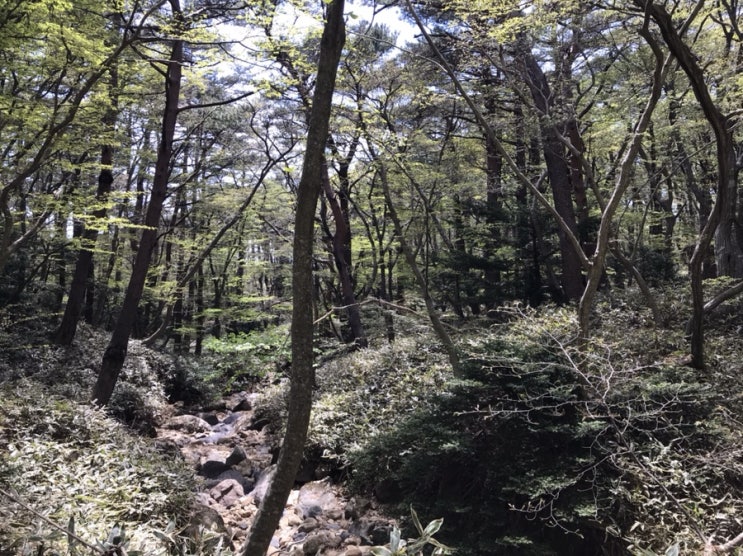  [제니홍] 5월의 제주도우워~