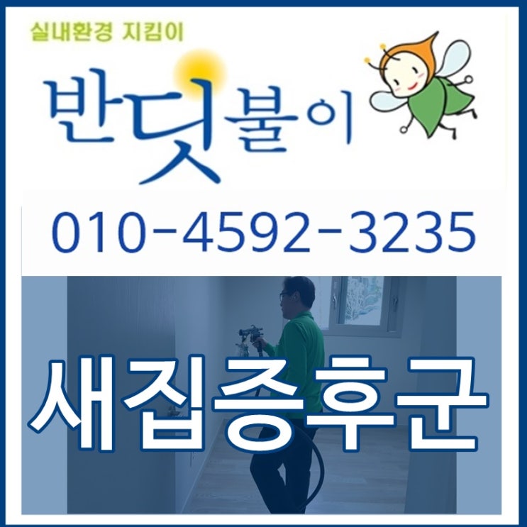  새집증후군제거방법 정답은 반딧불이!