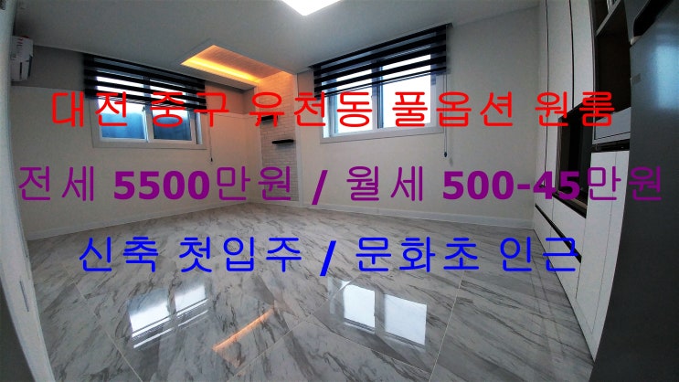 (대전 중구 유천동) 문화초 인근에 있는 신축첫입주 풀옵션 원룸이에요 ^^