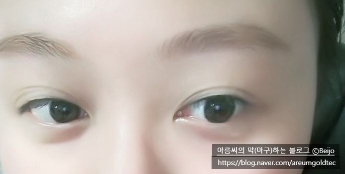  메이시크 - 핑거팁 아이브로우 틴트 /구버전리뷰!