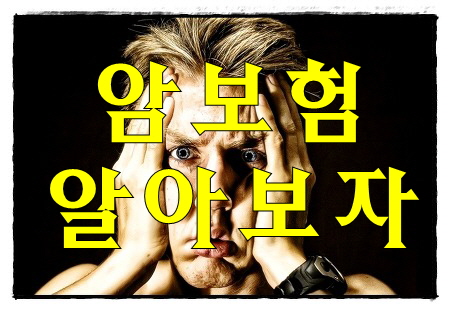  무갱신보험 반드시성공