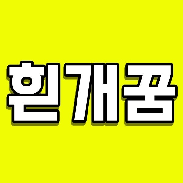 흰개꿈 VS 검은개 꿈, 해몽 비교해보면 정말 개꿈은 개꿈일까용??!?