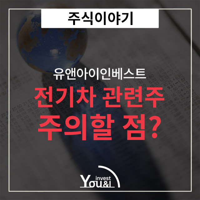 전기차 관련주 투자시 주의할점?