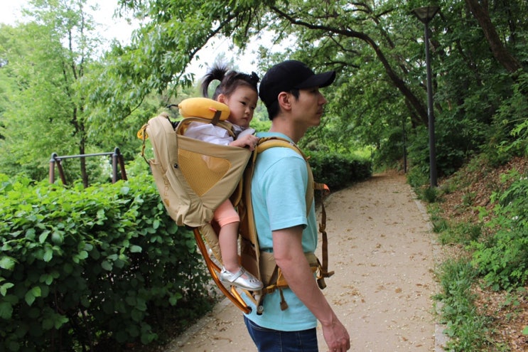 유아등산캐리어 포브로 아기와 등산하기 :)