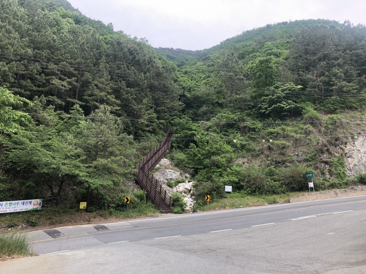  금산 진악산 나 홀로 백패킹...