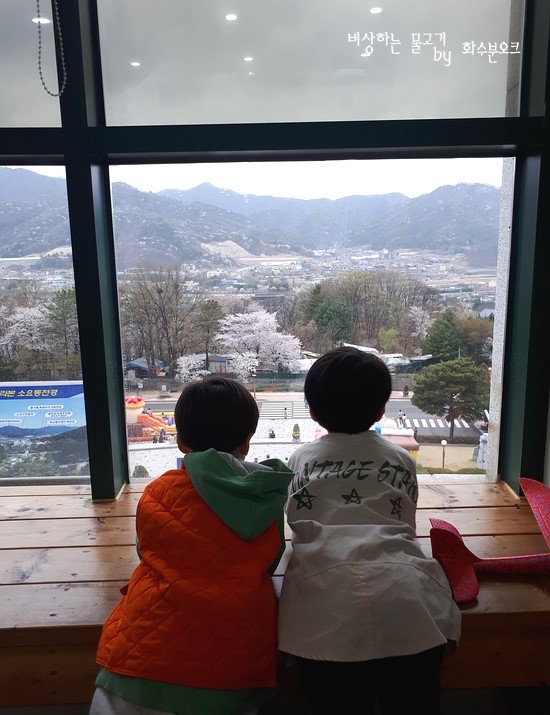  동두천 가볼만한곳 - 자유수호평화박물관 벚꽃구경하고 왔던 봄날