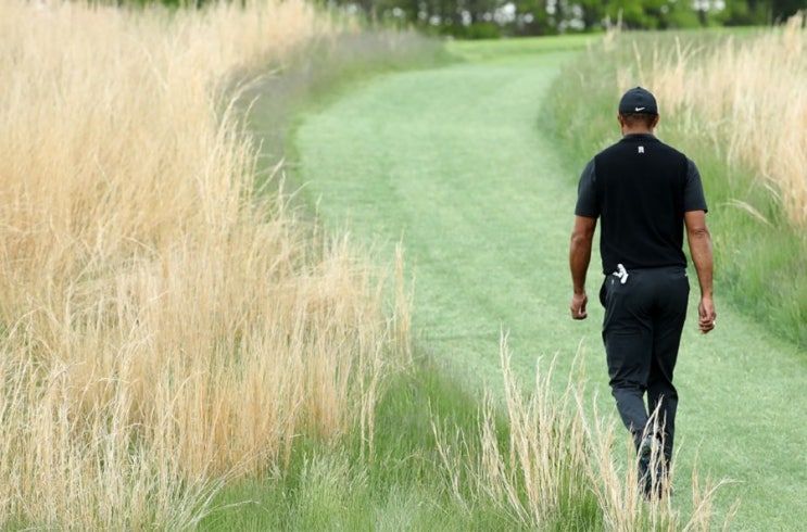 *타이거 우즈 컷 탈락-2019  PGA 챔피언십 2라운드*