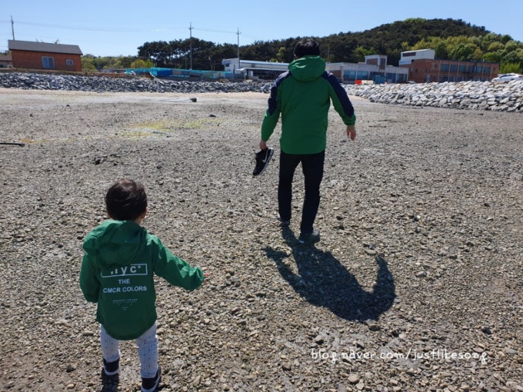 당진 5월에 아기랑 당일치기 여행2.장고항 해변 조개