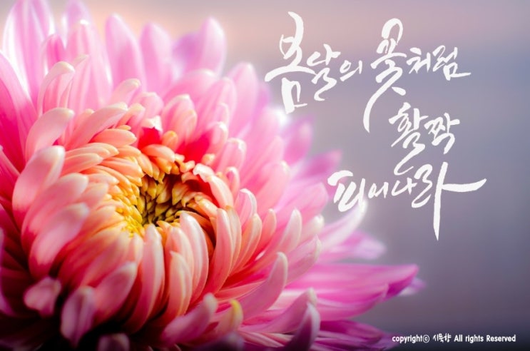  친사랑  캘리그리피, 좋은글귀, 감성글귀, 봄날의 꽃처럼 활짝피어나라
