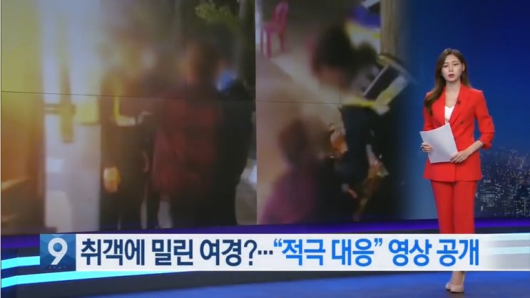  거짓말, 무능, 무책임, 비논리, 평판 - 대림동 여경