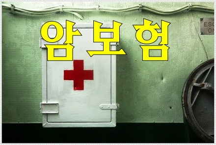  부모님암보험 ＃추천
