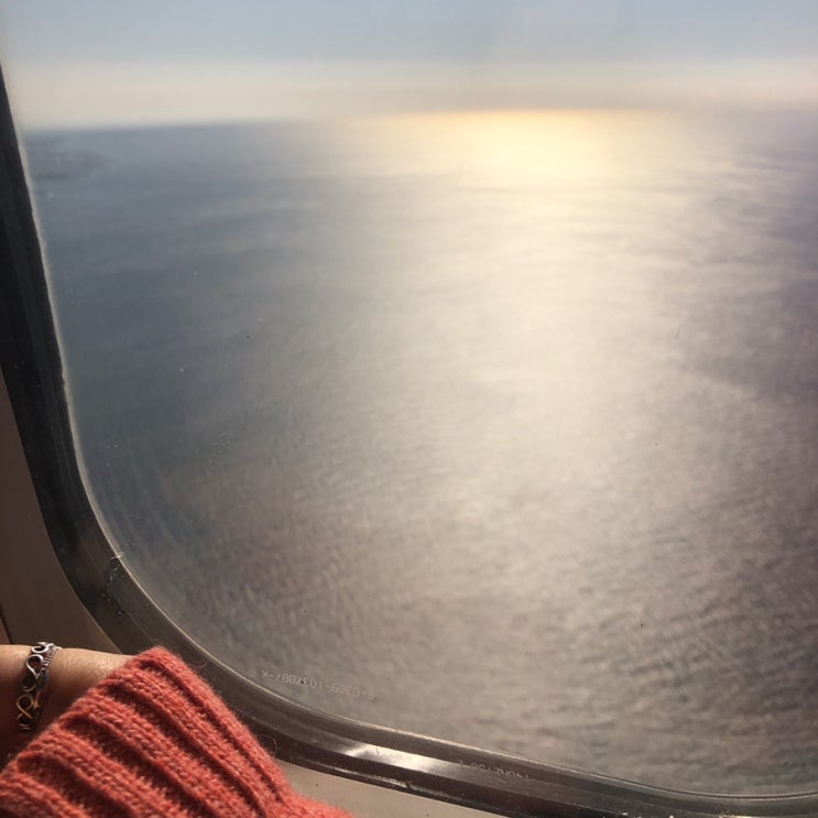  제주(181117-181119)   헤지여행