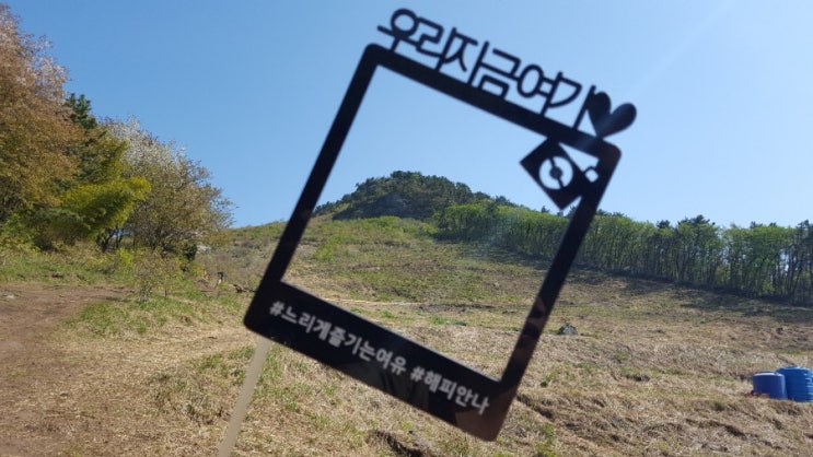  자신을 찾아 떠나는 여행, 아침산책과 텃밭일기