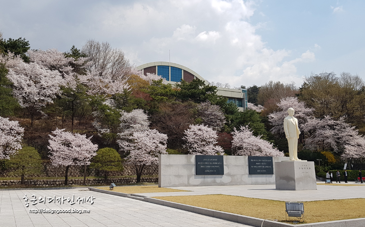 봄이 아름다운 서울사이버대학교 벚꽃 풍경