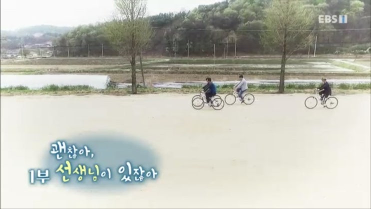  EBS 특집다큐 <괜찮아, 선생님이 있잖아>