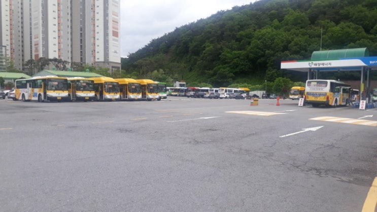  광주 지원동 주남마을
