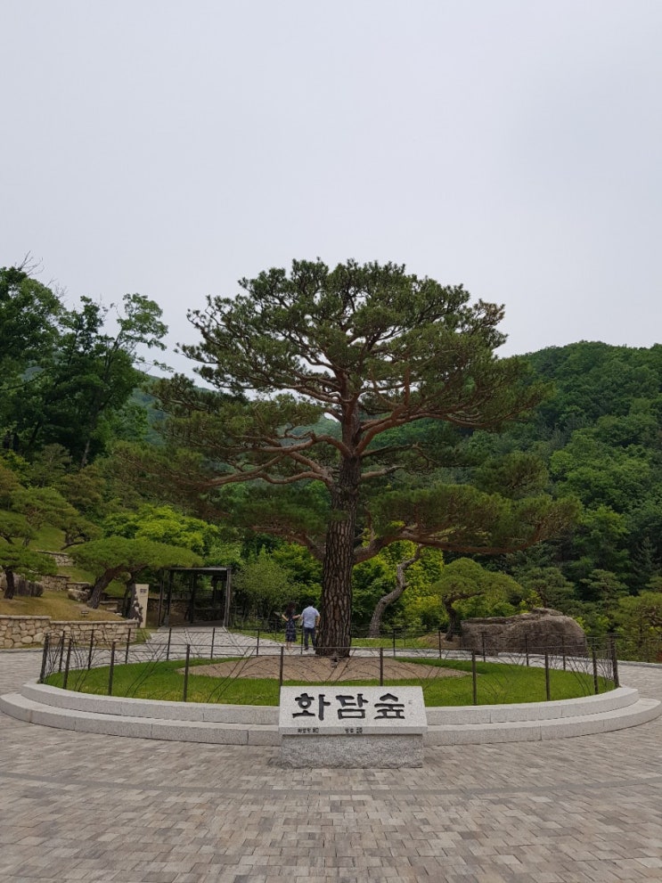  [화담숲] 경기 광주 곤지암리조트 가족여행 추천 코스