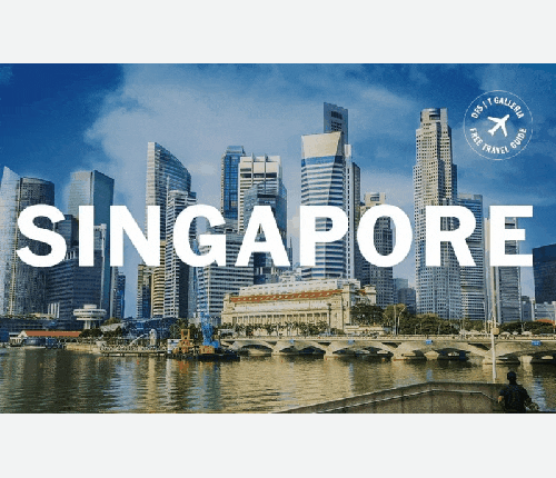 싱가폴 특송 화물 | 항공화물운송 | 원단 부자재 기타 | 카고운송 포워딩 | Hrtasia Express 1522-1645