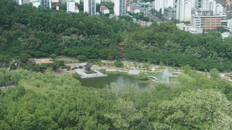  [강북구 블로그 공모전] 수유사거리에서 북서울꿈의숲까지 혼자 사색하며 느낀 일상 및 솔직한 후기