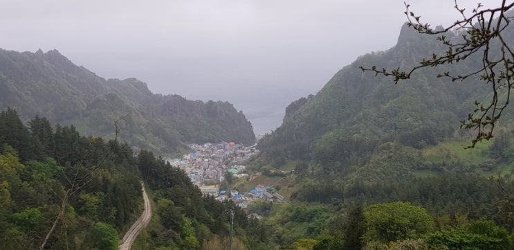  독도