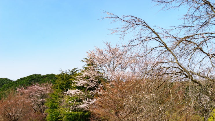  정읍 내장산 내장산수목원과 내장저수지