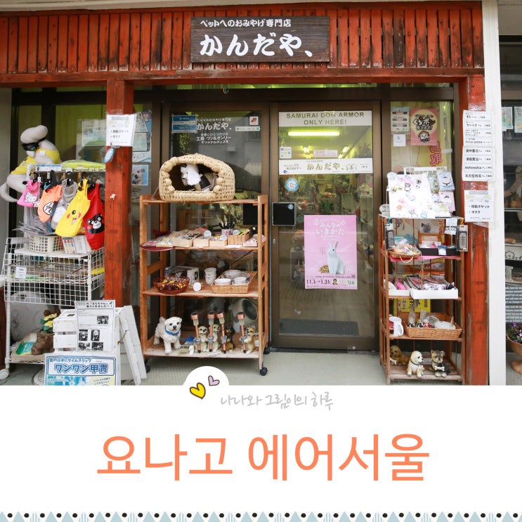  요나고 여행 항공사 프로모션 에어몰에서 겟, 에어서울 탑승기