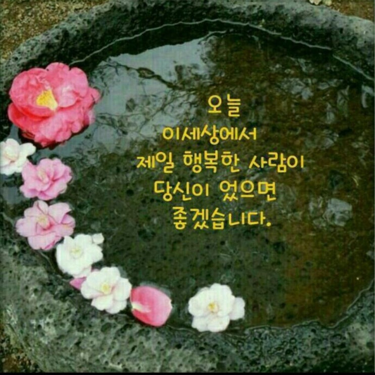  제주의 밤 '오감만족' 축제로 물들다