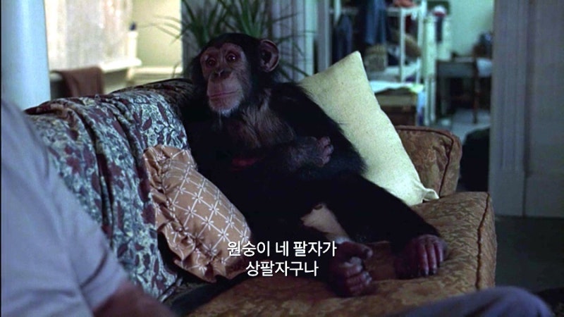 시티마트 이미지
