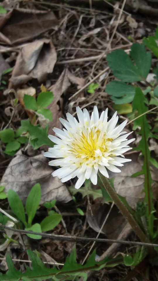  5·18 민주화 운동을 기리며 시를 한 편 읊어본다.