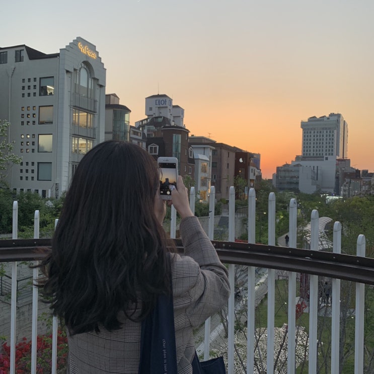  홍대에서 경의선책거리 산책: 여우골초밥, 미미도넛, 오브젝트