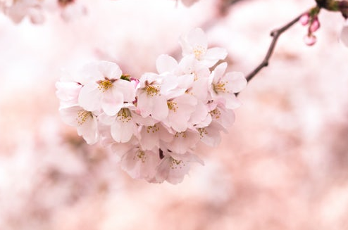  유산균지큐랩에스 CJ오쇼핑에서  재작년